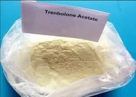 Powder Trenbolone Asetat Finaplix H Revalor H Ananbolic Steroids Hormone CAS 10161-34-9