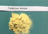 Powder Trenbolone Asetat Finaplix H Revalor H Ananbolic Steroids Hormone CAS 10161-34-9