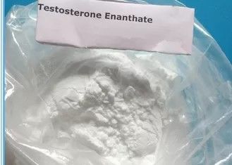Anabolic Steroid Powder 99% Testosteron Enanthate Powder Digunakan Untuk Membangun Otot 315-37-7