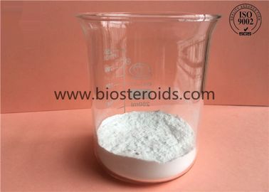 CAS 53-41-8 DHEA Prohormone Steroid Powder Androsterone Raw Powder