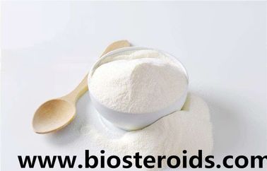 100% Real Sex Steroid Powder Sildenafil Citrate / Sildenafil / Viagra Raw Powder 171599-83-0
