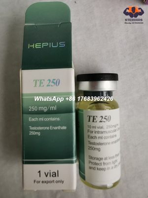 Steroid Anabolik Suntik Testosteron Enanthate 250mg / Ml 315-37-7